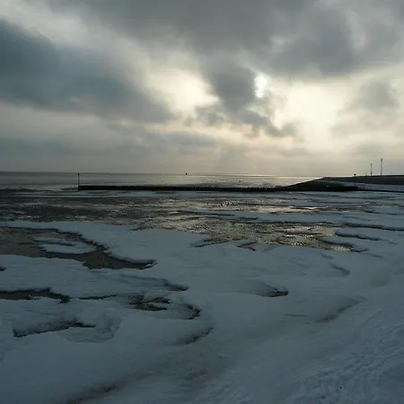 Korthals 42 Daire Schillig