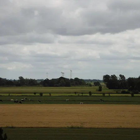 Korthals 42 * Schillig