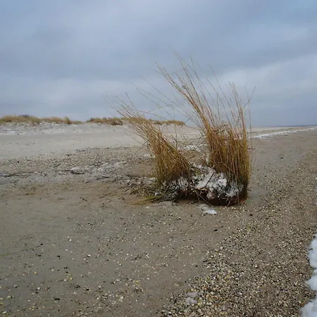 Korthals 42 * Schillig