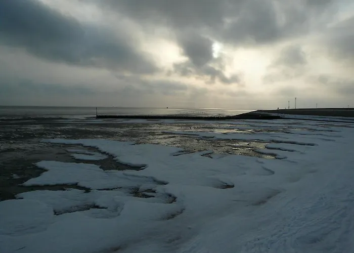 Korthals 42 Apartman Schillig