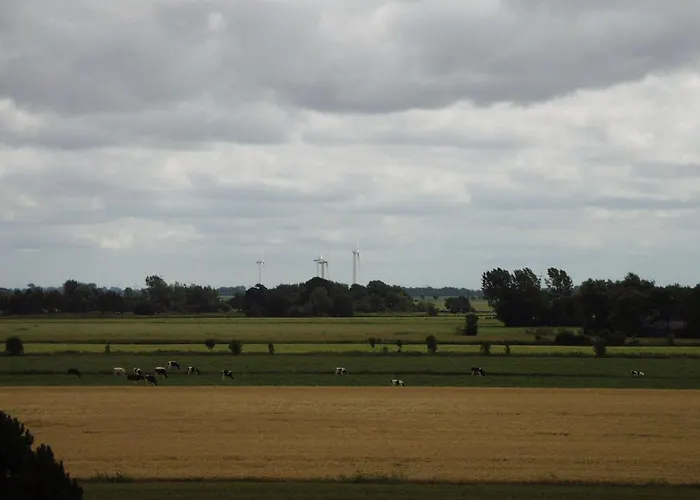 Korthals 42 * Schillig